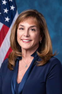 Lisa McClain